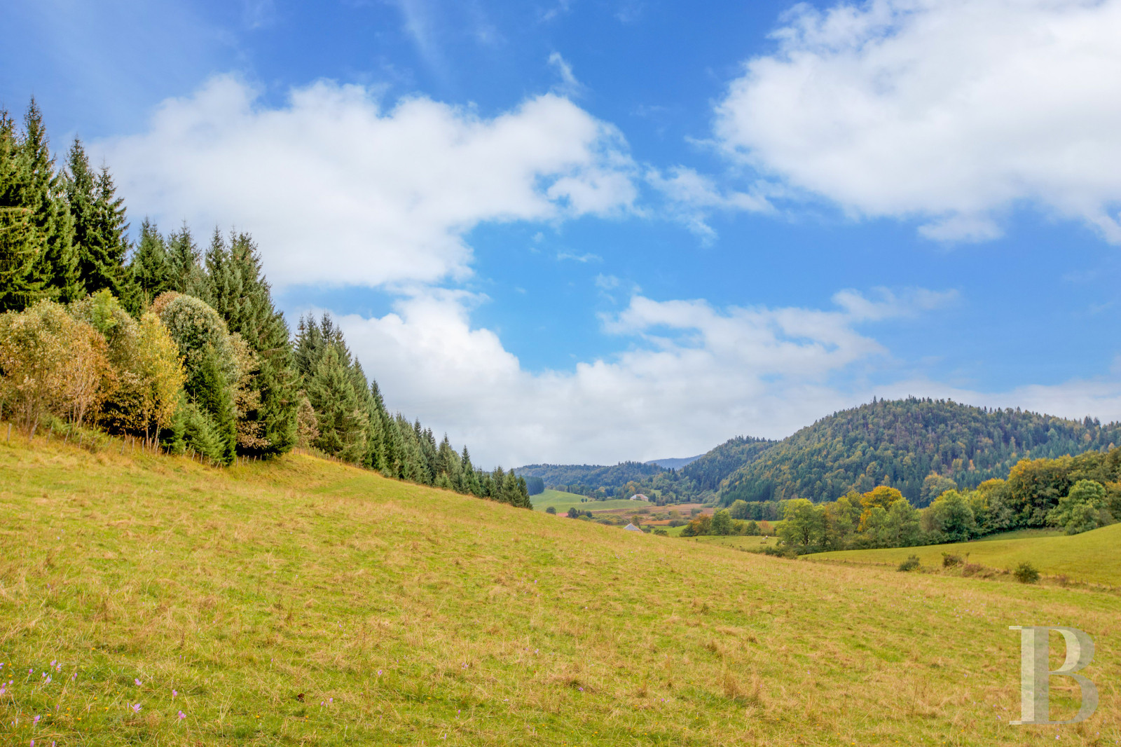 Dans le Haut-Bugey, à mi-chemin entre Lyon et Genève, une ferme abbatiale du 17e siècle transformée en une vaste et confortable demeure.  - photo  n°39